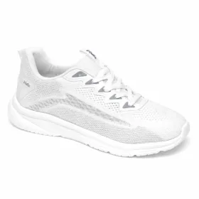 24124 Merdane - Volis